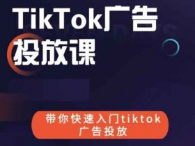 短视频运营《tiktok广告投放课》视频教程