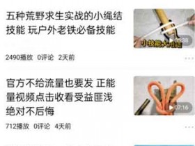冷门中视频领域副业实操,人人都可操作无需真人出镜
