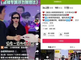 超级简单的无脑暴力玩法,抖音IP切片项目变现思路