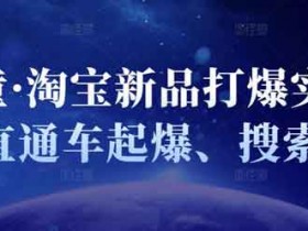 电商运营《淘宝新品打爆实战班 直通车起爆 搜索起爆》视频教程