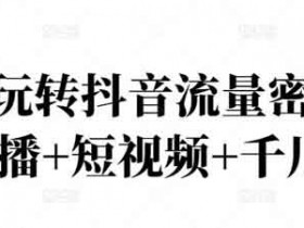 抖音短视频《2022玩转抖音流量密码》视频教程