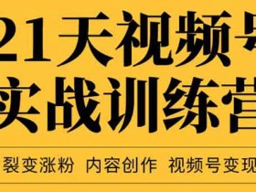 短视频副业《21天视频号实战训练营》音频教程