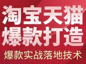 电商运营《2022淘宝天猫爆款打造系列课》视频教程