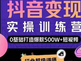 抖音副业《抖音变现实操训练营》视频教程