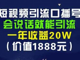 短视频《短视频引流口播号 会说话就能引流》视频教程