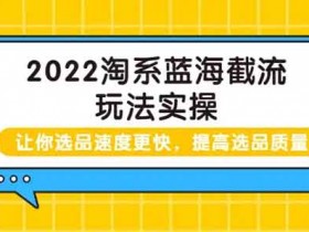 电商运营《2022淘宝蓝海截流攻略》视频教程