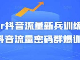 抖音运营《抖音流量新兵训练营 破解抖音流量密码群爆训练营》视频教程
