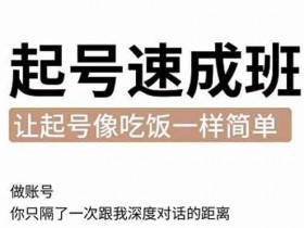 短视频《新手起号必备速成班 0基础起号到千万爆款实操课》视频教程