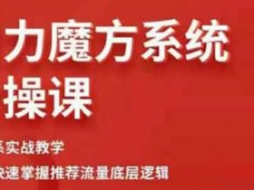 爆粉引流《引力魔方系统实操课》视频教程