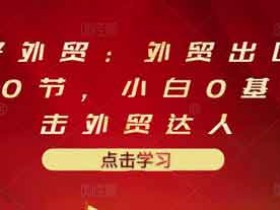 职业提升《外贸出口详解30节,小白0基础进击外贸达人》视频教程