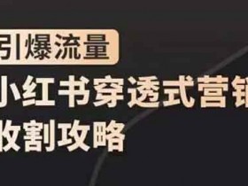 自媒体《小红书穿透式营销收割攻略,引爆流量,助你玩转小红书》视频教程