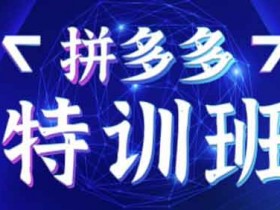 电商运营《拼多多基础班+进阶班+突破班》视频教程