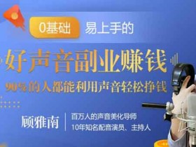 副业提升《好声音副业赚钱》视频教程