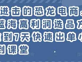 电商运营《淘宝小众蓝海高利润选品方法论,做到7天快速出单小白也能做到》视频教程