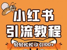 自媒体《小红书运营引流全系列课程,每天引流100精准粉》视频教程