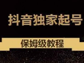 抖音短视频《抖音独家起号教程,从养号到制作爆款视频》视频教程