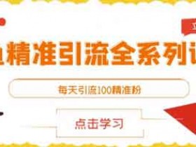 爆粉引流《闲鱼精准引流全系列课程 每天引流100精准粉》视频教程
