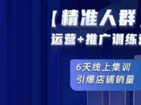 电商运营《精准人群运营+推广训练营》视频教程