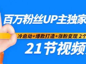 短视频《百万粉丝UP主独家秘诀:冷启动+爆款打造+涨粉变现2个月12W粉》视频教程