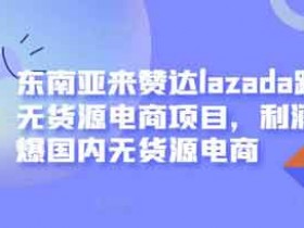 电商运营《东南亚来赞达lazada跨境无货源电商项目》视频教程