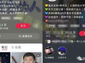 小红书自媒体副业:小红书个人IP模板+发布时间,轻松打造高质量账号