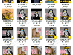 染色体《它先生门徒核心课》视频教程