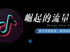 抖音引流免费技巧,抖音垂直引流应该怎么做?