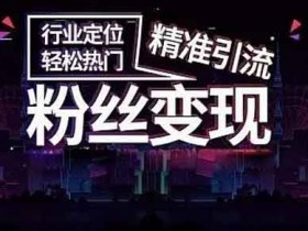 海外抖音引流有什么技巧?TikTok运营与流量变现技巧!