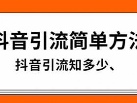 抖音评论引流技巧,抖音引流变现方法!