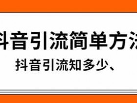 抖音评论引流技巧，抖音引流变现方法！