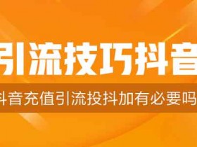 引流技巧抖音,抖音充值引流投抖加有必要吗?