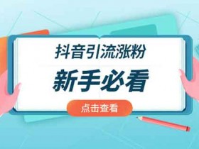 抖音引流赚钱方法，如何在抖音开展副业赚钱？