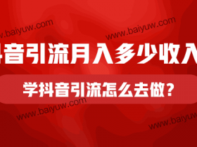 抖音引流月入多少收入?学抖音引流怎么去做?