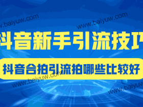 抖音新手引流技巧,抖音合拍引流拍哪些比较好?