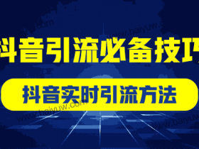 抖音引流必备技巧,抖音实时引流方法!