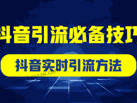 抖音引流必备技巧，抖音实时引流方法！