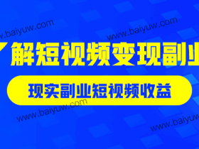 了解短视频变现副业,现实副业短视频收益!