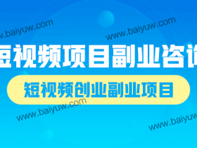 短视频项目副业咨询,短视频创业副业项目!