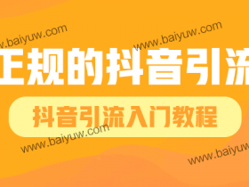 正规的抖音引流,抖音引流入门教程!