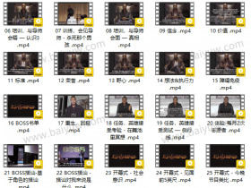 RSD麦迪森 老板BOSS 视频教程
