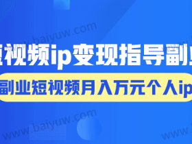 短视频ip变现指导副业,副业短视频月入万元个人ip!