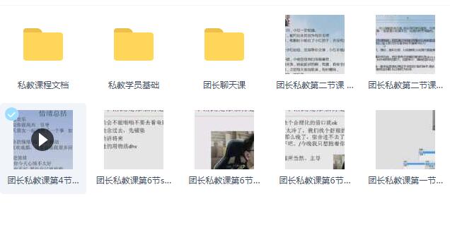 团长私教视频课程全套