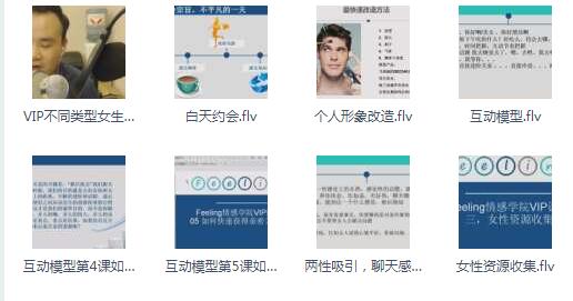 Feeling情感学院2018年《高级VIP网络课程》
