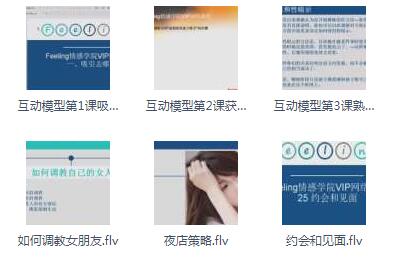 Feeling情感学院2018年《高级VIP网络课程》