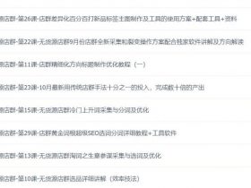 无货源店群VIP培训课程（已完结 附软件）价值880