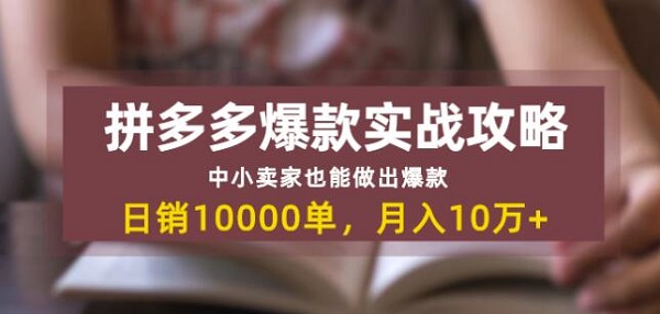 拼多多爆款实战攻略:日销10000单月入10w+