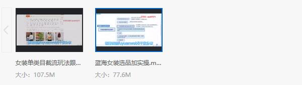 电商运营课程:月入10W+实操女装爆款,女装单类目截流玩法!