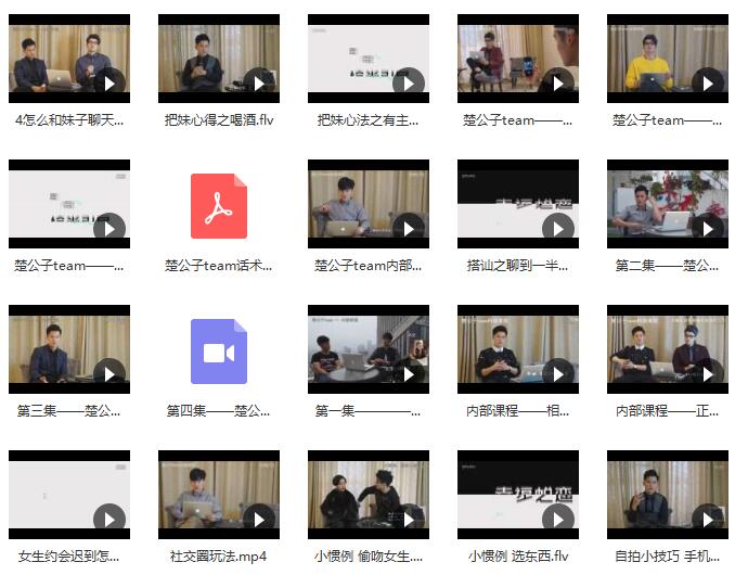 楚公子:《内部课程》百度网盘下载
