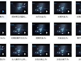 舞步情感VIP会员课程《心灵捕手》