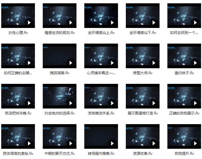 舞步情感VIP会员课程《心灵捕手》